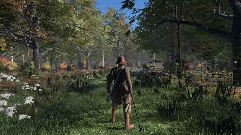 A traveller in an autumn forest
