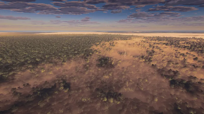 Dawn mist over a forest canopy