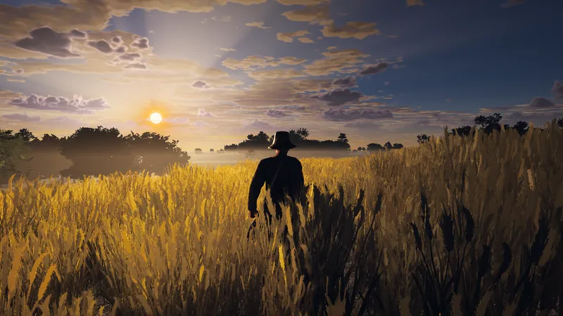 A traveller in a wheat field at sunset